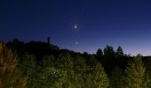 Trail On foot Wurzbach - Roter Strich - Bad Lobenstein-Bhf Lichtentanne - Photo 10