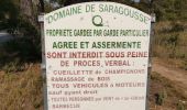 Percorso Marcia Rognac - Tour du domaine de la Saragousse  - Photo 17