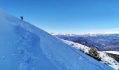 Excursión Esquí de fondo Selonnet - 20210218 - Tête grosse - Chabanon - Selonnet - Photo 10