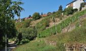 Tour Zu Fuß Markgröningen - DE-SAV Blaues Kreuz, von - nach? - Photo 9