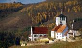 Tour Zu Fuß Sachsenheim - Weitblickweg Hohenhaslach - Photo 5