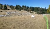 Tocht Stappen La Beaume - banne col de cabre - Photo 1