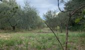 Tocht Stappen Saint-Bonnet-du-Gard - Pont du Gard - Photo 1