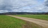 Trail Walking La Roche-en-Ardenne - Samree 190324 - Photo 13