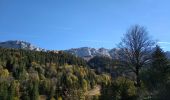 Trail Walking Villard-de-Lans - VILLARD VALLON DE LA FAUGE - Photo 3