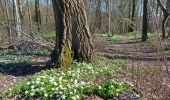 Tocht Stappen Fleurus - Baulet - Photo 3