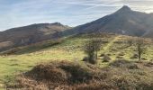 Tour Wandern Urrugne - Ibardin Ziburumendi, Yasola forêt de Bera  Gartzin - Photo 4