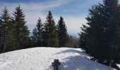 Tour Wandern Gex - Le Belvédère du Turet - Photo 1