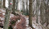 Tocht Stappen Profondeville - Promenade vers le point de vue de la Sibérie  - Photo 18