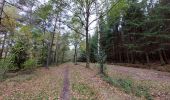 Trail Walking Sprimont - 15km Banneux Nov 2022 - Photo 2