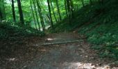 Trail Walking Guipavas - Kerhuon-Guipavas-Brest entre mer et forêts  - Photo 6