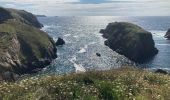 Tour Wandern Cléden-Cap-Sizun - Pointe du Van - Photo 3