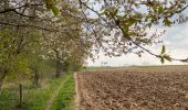 Tocht Stappen Brakel - Everbeek 18,4 km - Photo 7