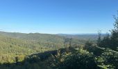 Tour Wandern Ronchamp - La cabane des chasseurs  - Photo 1