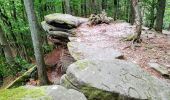 Tour Zu Fuß Bad Sooden-Allendorf - BSA-Teufelskanzel - Photo 10