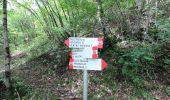 Trail On foot Berbenno - Antiche Tracce - Photo 6