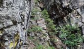 Trail Walking Le Valtin - col de la schlucht - Photo 2