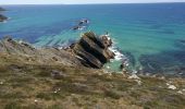 Tocht Stappen Crozon - Morgat - Pointe de la Chèvre - Photo 5