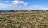 Tour Wandern Cléden-Cap-Sizun - Pointe du Van - Photo 2