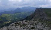 Randonnée Marche Châtillon-en-Diois - la Montagnette par le Grand Pas - Photo 3