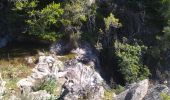 Randonnée Marche Collobrières - Collobrières chartreuse de la Verne avec cascades - Photo 5