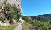 Trail Walking Besançon - Besançon : le Doubs, le centre, la citadelle  - Photo 3