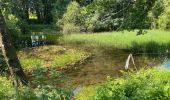 Tour Wandern Bièvre - Oizy 21 km - Photo 20