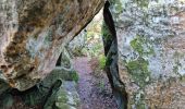 Trail Walking Fontainebleau - Sentier Denecourt 8 8-8 - Photo 16