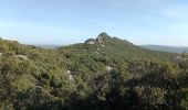 Trail Walking Mas-de-Londres - Mas de Londres - le Pic St Loup du 05-02-2024 - Photo 5