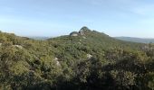 Tour Wandern Mas-de-Londres - Mas de Londres - le Pic St Loup du 05-02-2024 - Photo 5