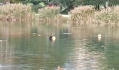 Tour Wandern Gréoux-les-Bains - Le bord du Verdon  - Photo 1