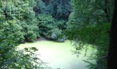 Tour Zu Fuß Aerzen - AE5 Streckenwanderung von Aerzen in Richtung Bad Pyrmont zum Spelunkenturm - Photo 10