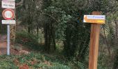 Trail Walking Tanneron - Mimosa  - Photo 2