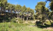 Tour Wandern Plan-de-Cuques - La Montade les 4 chemins - Photo 3