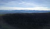 Excursión Senderismo Arvière-en-Valromey - LE GRAND COLOMBIER - Photo 8