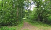 Tocht Te voet Compiègne - en forêt de Compiègne_34_autour du Buissonnet et du Berne - Photo 17