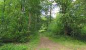 Randonnée A pied Compiègne - en forêt de Compiègne_34_autour du Buissonnet et du Berne - Photo 17