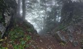 Excursión Senderismo Autrans-Méaudre en Vercors - t4m j2 - Photo 13