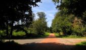 Percorso Marcia Haramont - en forêt de Retz_79_08_2019_vers Taillefontaine et Retheuil par les lisières - Photo 1