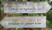 Tour Wandern Saint-Jean-de-Côle - Saint-Jean de colle la côte 12 km - Photo 4
