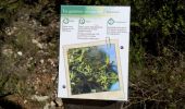 Trail On foot Sausset-les-Pins - Grand Vallat - Littoral - Photo 10