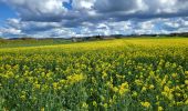 Trail Walking Rochefort - Belvaux 280423 - Photo 13