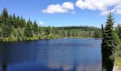 Trail On foot Spiegelau - Hauptwanderweg (Nationalpark Bayerischer Wald) - Photo 4