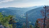 Trail Walking Le Valtin - La Schlucht - Le Hohneck - Photo 3