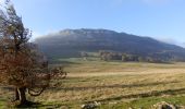 Tocht Stappen Omblèze - Plateau d_Ambel 15km - Photo 1