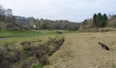 Tour Zu Fuß Wyre Forest - Habberley Valley Circular Walk - Photo 8