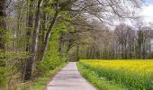 Tocht Te voet Onbekend - A1 - Baumheide - Photo 3