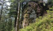 Tour Wandern Thiéfosse - AR col de xiard roche montivieille - Photo 3