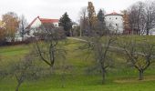 Tour Zu Fuß Steina - Rundwanderweg Gelber Punkt Ohorn - Steina - Luchsenburg - Photo 7