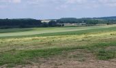 Tocht Stappen Durbuy - Bomal sur Ourthe 170625 - Photo 17